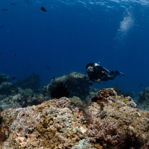Diver swimming above a rocky reef in deep blue water, Komodo, Indonesia