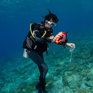 Diver unrolling an orange surface marker buoy, vertical framing, Komodo, Indonesia