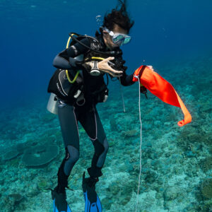 Diver holding a half-inflated orange surface marker buoy, Komodo, Indonesia