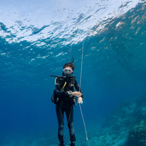 Diver below a deployed surface marker buoy at the surface, Komodo, Indonesia