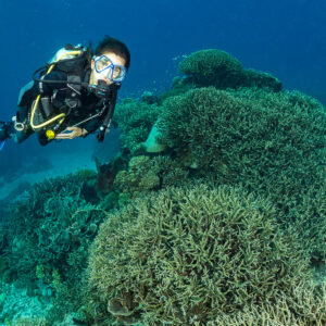 Woman diver close to camera above coral mound, Komodo, Indonesia