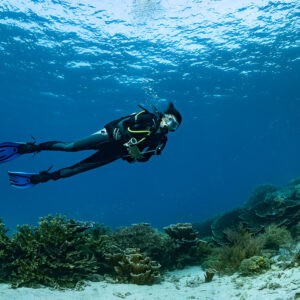 Woman diver swimming just below the rippled surface over sandy reef, Komodo, Indonesia