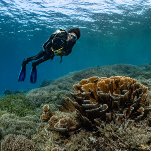 Woman diver over lettuce coral beneath rippled surface, Komodo, Indonesia