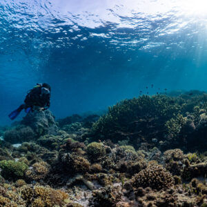 Woman diver near surface sunrays above dark reef, Komodo, Indonesia
