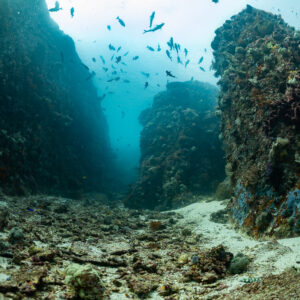 Narrow rocky canyon opening toward blue water with fish, Komodo, Indonesia