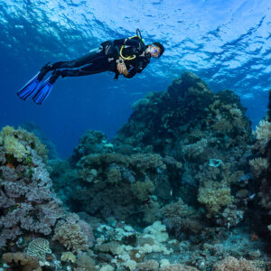 Woman diver swimming over coral boulders under rippled surface, Sangeang Island, West Nusa Tenggara, Indonesia