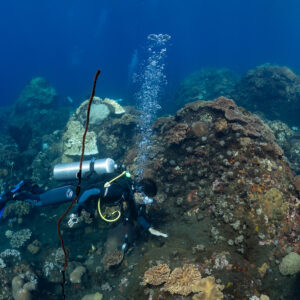 Woman diver watching volcanic gas bubbles rising from coral rock, Sangeang Island, West Nusa Tenggara, Indonesia