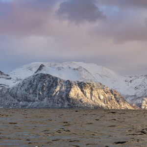 Snowy mountains under a pastel pink sky above a calm golden fjord, Kvænangen, Troms, Norway