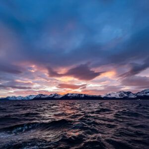 Low snowy coastline under a blue and pink dusk sky, Kvænangen, Troms, Norway
