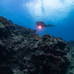 Plongeuse avec phare rouge nageant au-dessus d’une pente rocheuse, Flic-en-Flac, île Maurice