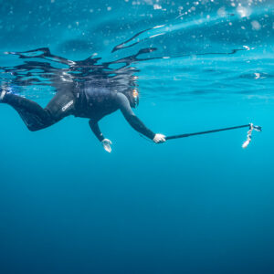 Nageur tendant une perche GoPro vers un pétrel posé en surface, Stilbaai, Cap-Occidental, Afrique du Sud