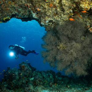 Diver with torch framed by a reef arch and black coral bush, Maldives