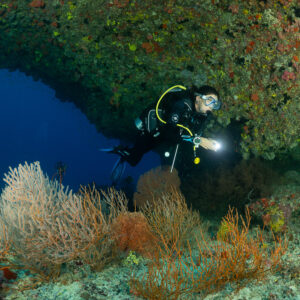 Diver lighting the reef under an overhang above orange sea fans, Maldives