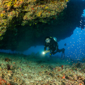 Diver with torch exploring a wide reef overhang among small fish, Maldives