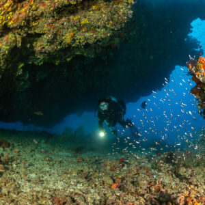 Diver lit by torch under a reef overhang, cloud of sweepers at right, Maldives
