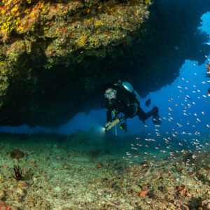 Diver approaching under a reef overhang with a shoal of small fish, Maldives