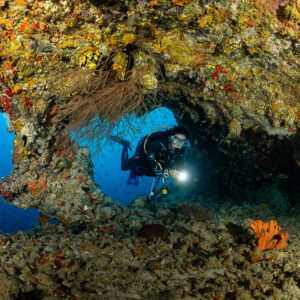 Diver with torch framed by a reef arch with sea fan above, Maldives