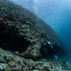Diver at the entrance of a dark reef cave on a slope, Maldives