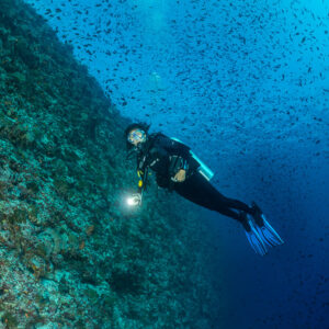 Diver with torch along a reef wall in deep blue, vertical, Maldives