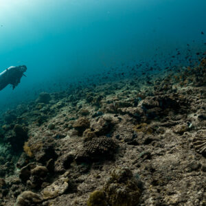 Diver exploring a rocky reef plateau in blue-green water, Maldives