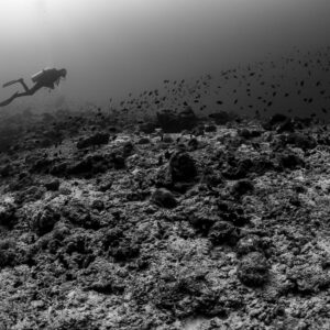 Black-and-white diver gliding over the edge of a reef plateau, Maldives