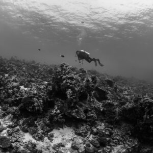 Black-and-white diver floating above a reef under the surface, Maldives