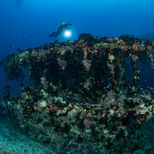 Diver above the coral-covered wheelhouse of a wreck, Maldives