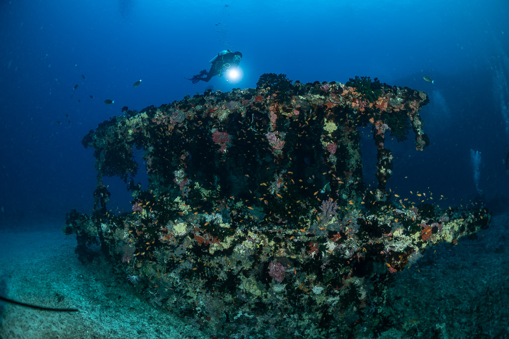 Diver above the coral-covered wheelhouse of a wreck, Maldives