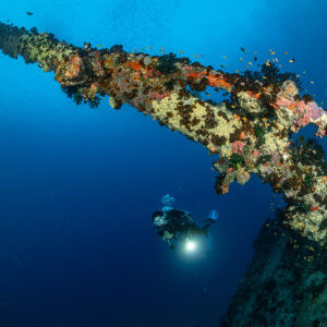 Diver lighting a coral-covered spar rising from the wreck, Maldives