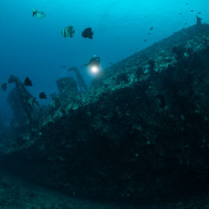 Diver and batfish over the bow of a sunken ship, Maldives