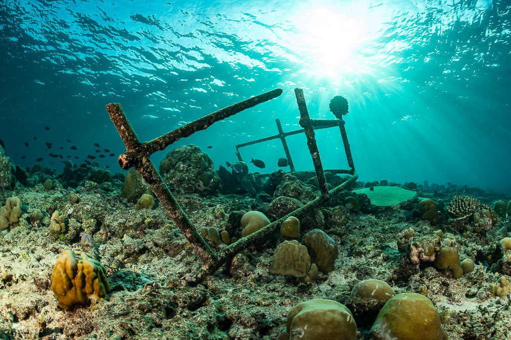 Rusted metal frame of wreck debris on a sunlit coral reef, Maldives