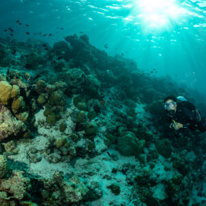 Diver on a shallow reef slope under sun rays, Maldives