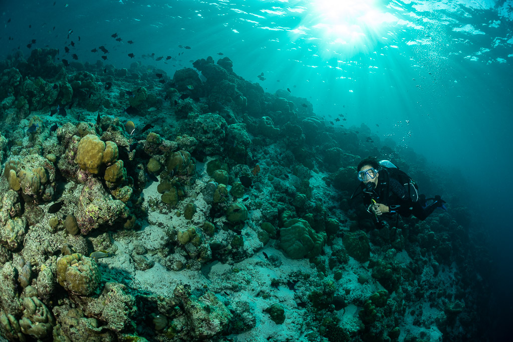Diver on a shallow reef slope under sun rays, Maldives