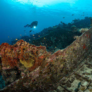 Diver with a torch over the broken hull of a wreck, Maldives