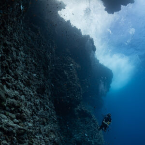 Diver dwarfed by a towering reef wall and overhang, Rocky Island, Red Sea, Egypt