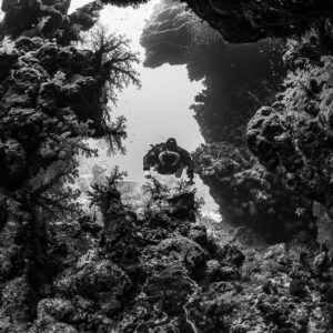Rebreather diver in a coral arch leading to open water, black and white, Zabargad, Red Sea, Egypt