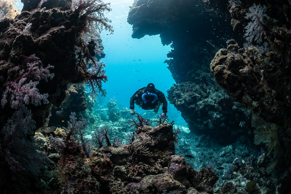 Rebreather diver leaving the cave through a soft-coral-fringed arch, Zabargad, Red Sea, Egypt