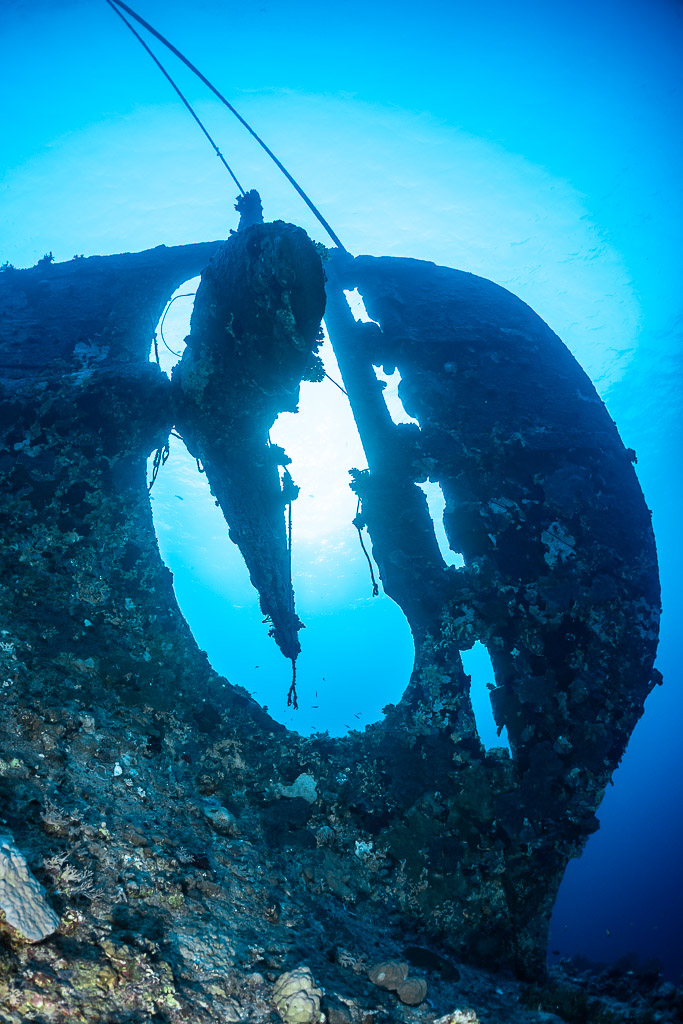 Poupe et hélice de l'épave du Levanzo en contre-plongée, mer Rouge, Égypte