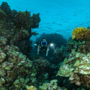 Rebreather diver between coral heads in shallow water, near the Levanzo wreck, Red Sea, Egypt