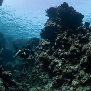Rebreather diver passing through a gap in the reef, near the Levanzo wreck, Red Sea, Egypt