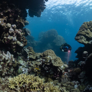 Rebreather diver in a shallow coral canyon, near the Levanzo wreck, Red Sea, Egypt