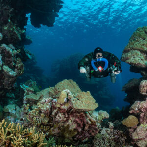 Rebreather diver facing the camera among coral structures, near the Levanzo wreck, Red Sea, Egypt