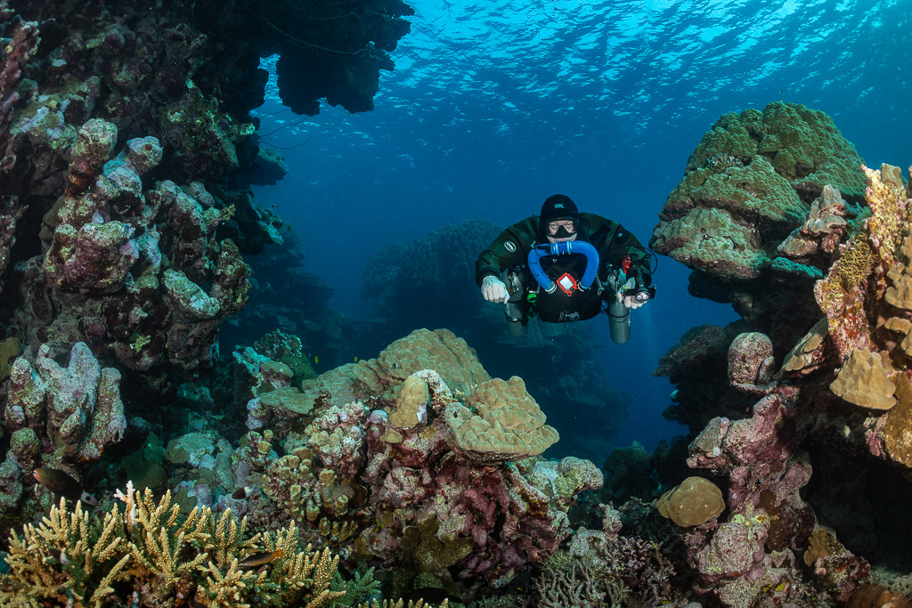 Rebreather diver facing the camera among coral structures, near the Levanzo wreck, Red Sea, Egypt
