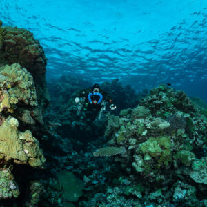 Rebreather diver in a coral garden beneath the surface, near the Levanzo wreck, Red Sea, Egypt