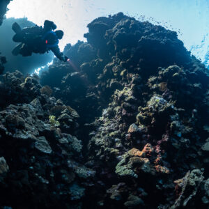 Rebreather diver exiting a reef cave towards the light, Abu Kebrita, Red Sea, Egypt