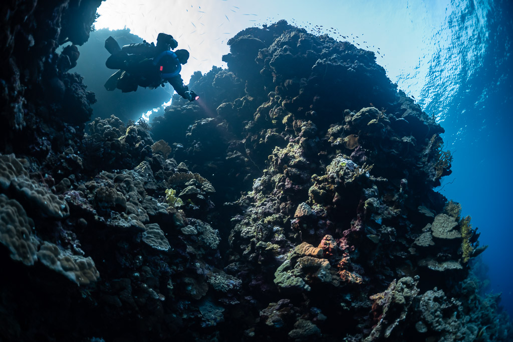 Rebreather diver exiting a reef cave towards the light, Abu Kebrita, Red Sea, Egypt