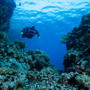 Rebreather diver in a channel between coral walls, Abu Kebrita, Red Sea, Egypt