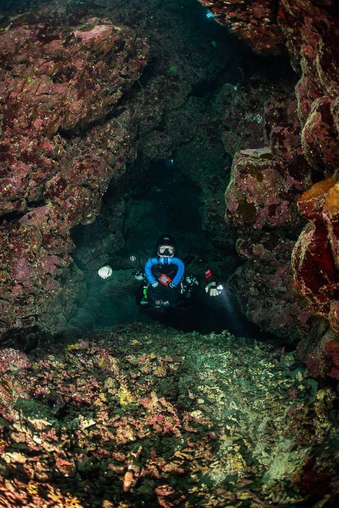 Rebreather diver in a coral tunnel, facing the camera, Abu Kebrita, Red Sea, Egypt