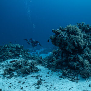 Rebreather diver behind a large coral bommie on sand, Habili Gafar and Umm Aruk, Red Sea, Egypt