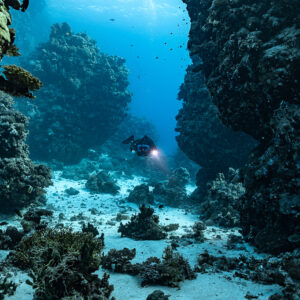 Rebreather diver in a sandy valley between coral walls, Habili Gafar and Umm Aruk, Red Sea, Egypt